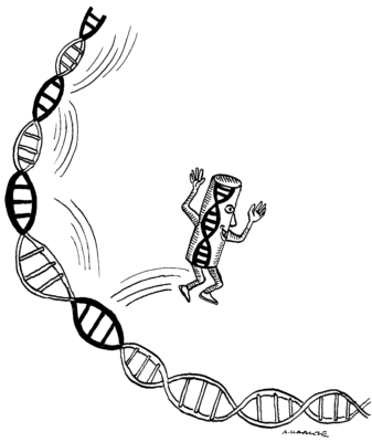 senoviniai genai transpozonai sokinejantys genai