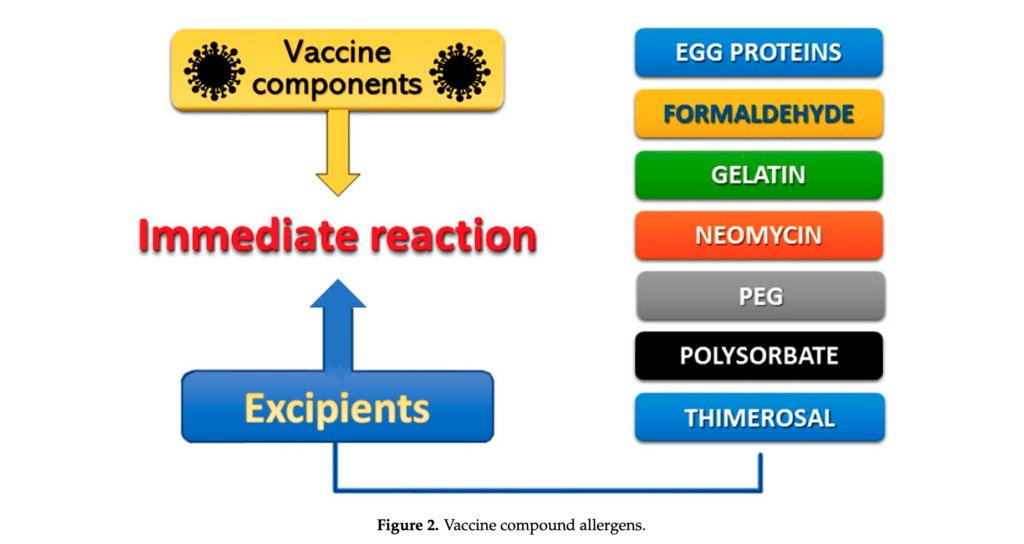 vakcinos alerginės reakcijos