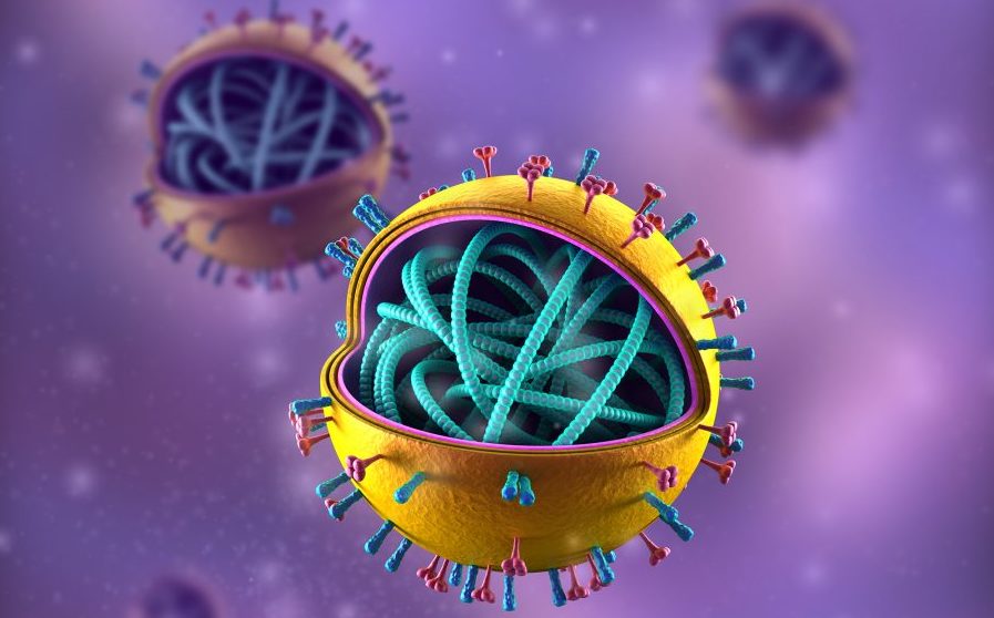 senoviniai virusai musu genome